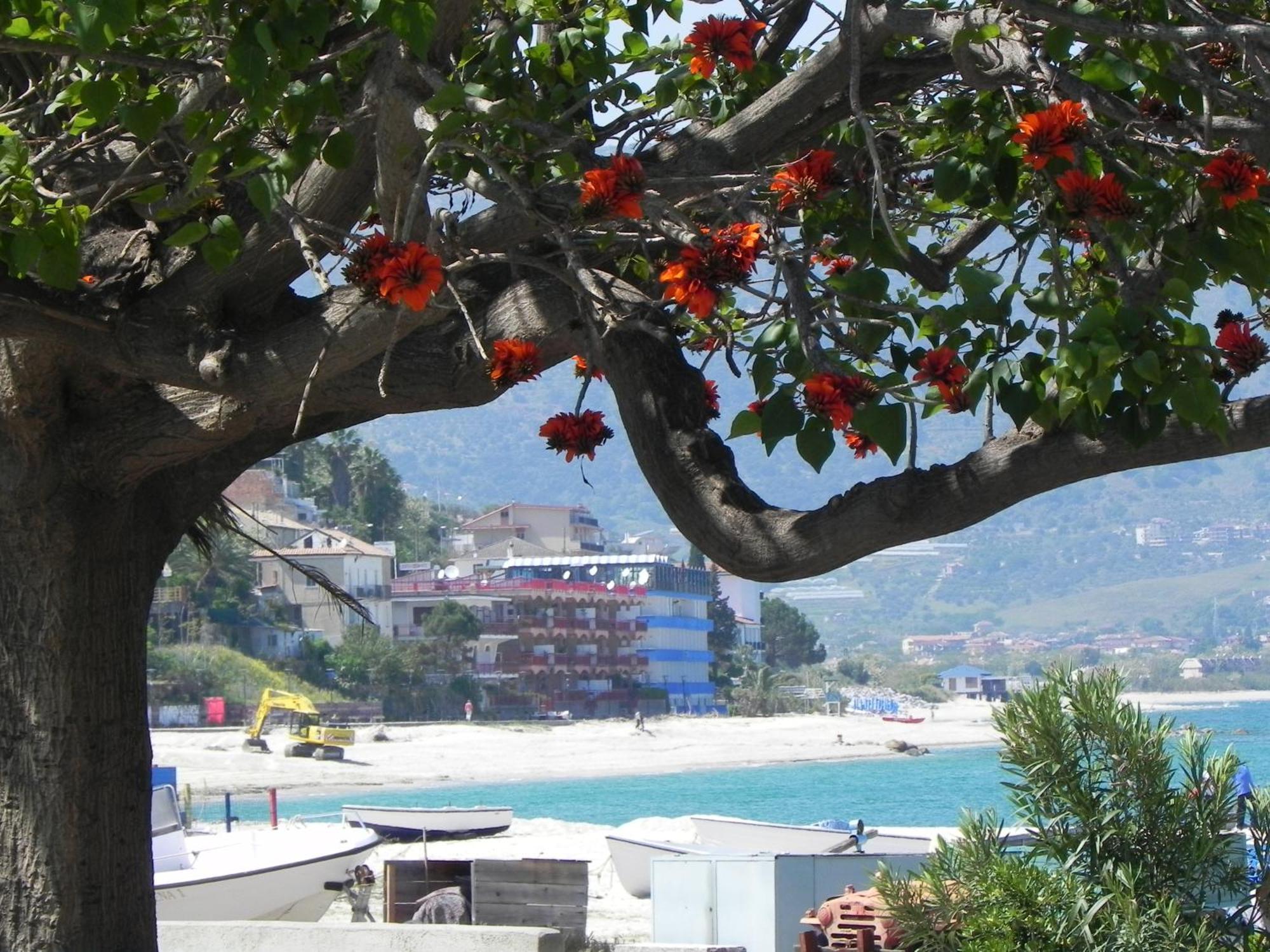 San Domenico Hotel Soverato Marina Exteriör bild
